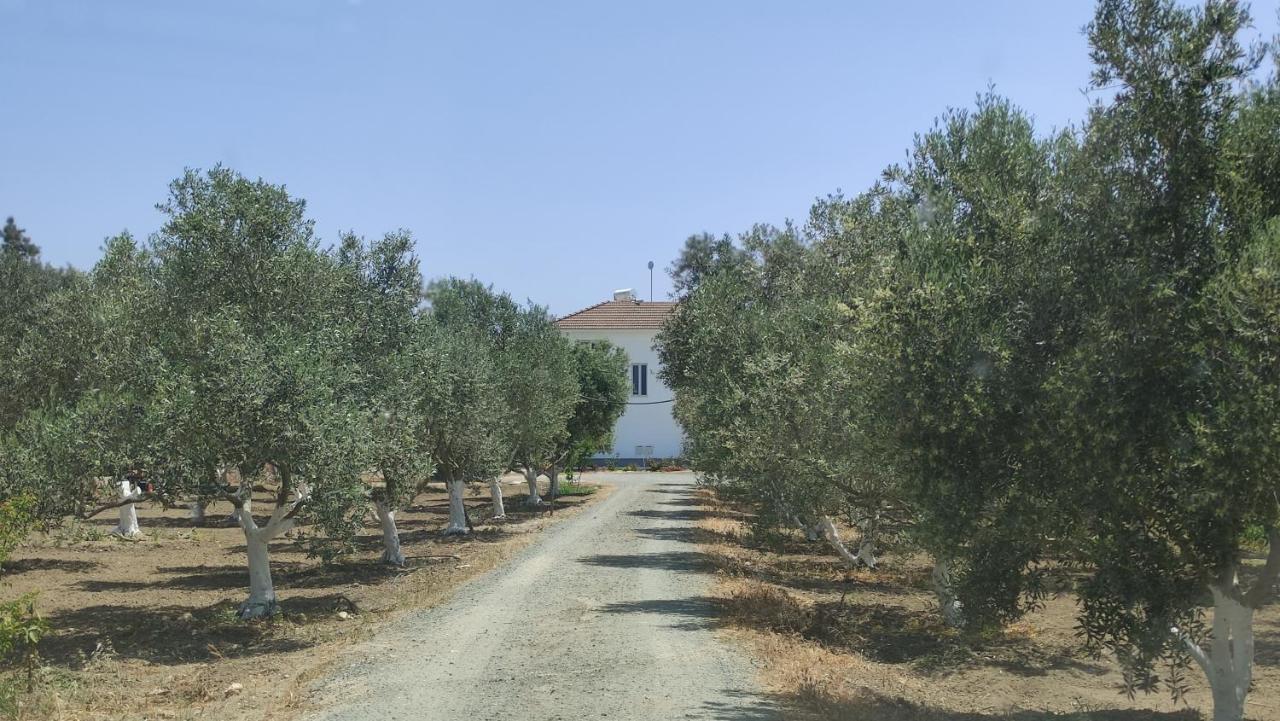 Kiti Village Villa, Cyprus, Salt-Water Pool, 6 Bedrooms, Larnaca Екстер'єр фото